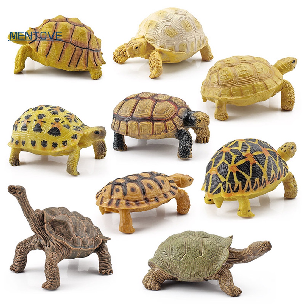 Mô Hình Rùa Biển 3D Sống Động Cho Bé