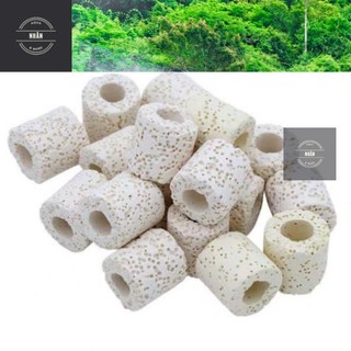 Sứ Nhẫn Lỗ Lọc Nước 100g | Sứ nhẫn trắng vật liệu lọc nước cho hồ cá