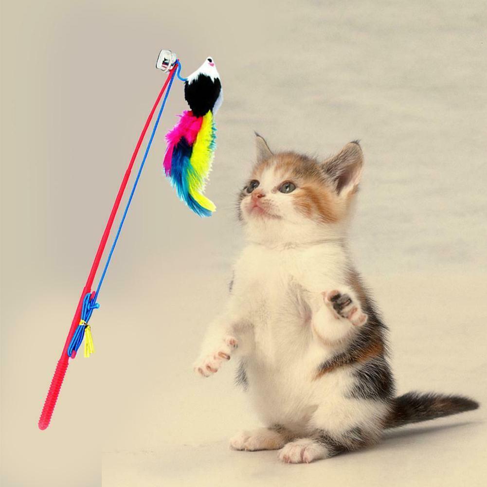 Đồ Chơi Cần Câu Co Giãn Nhiều Màu Sắc B2J1 Dành Cho Mèo Cưng