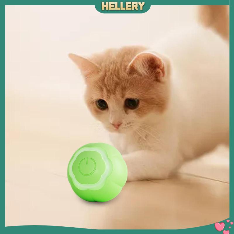 Đồ Chơi Tương Tác Với Mèo Có Đèn LED Độc Đáo