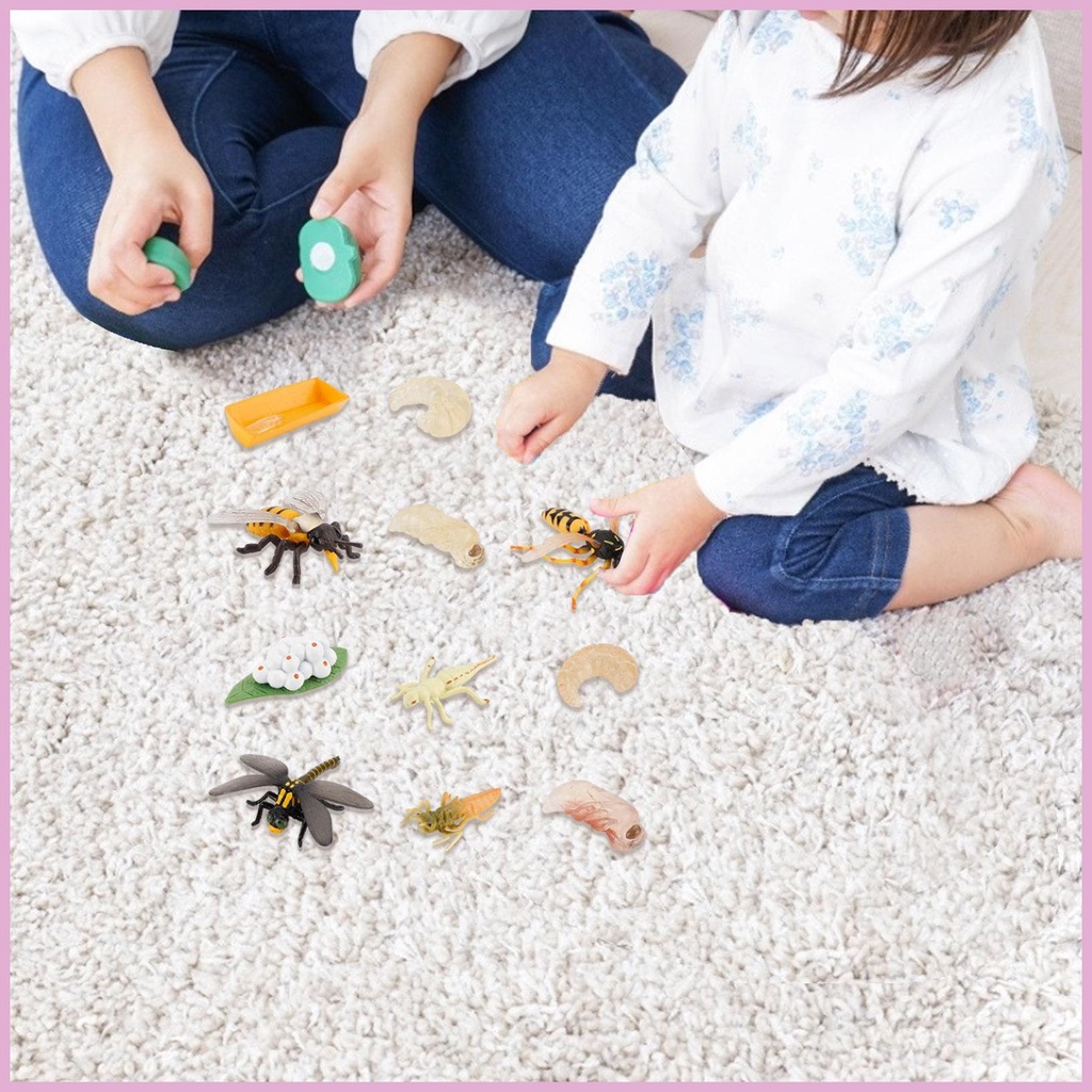 Set 12 Tượng Côn Trùng Đồ Chơi Cho Bé
