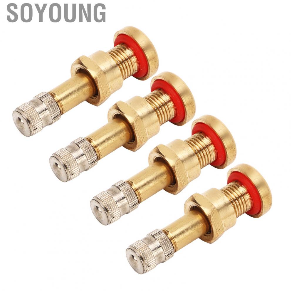 Soyoung Wheel Valve Stem  Stable Performance 20Pcs Truck Tubeless Tyre for 9.7mm Hole Van