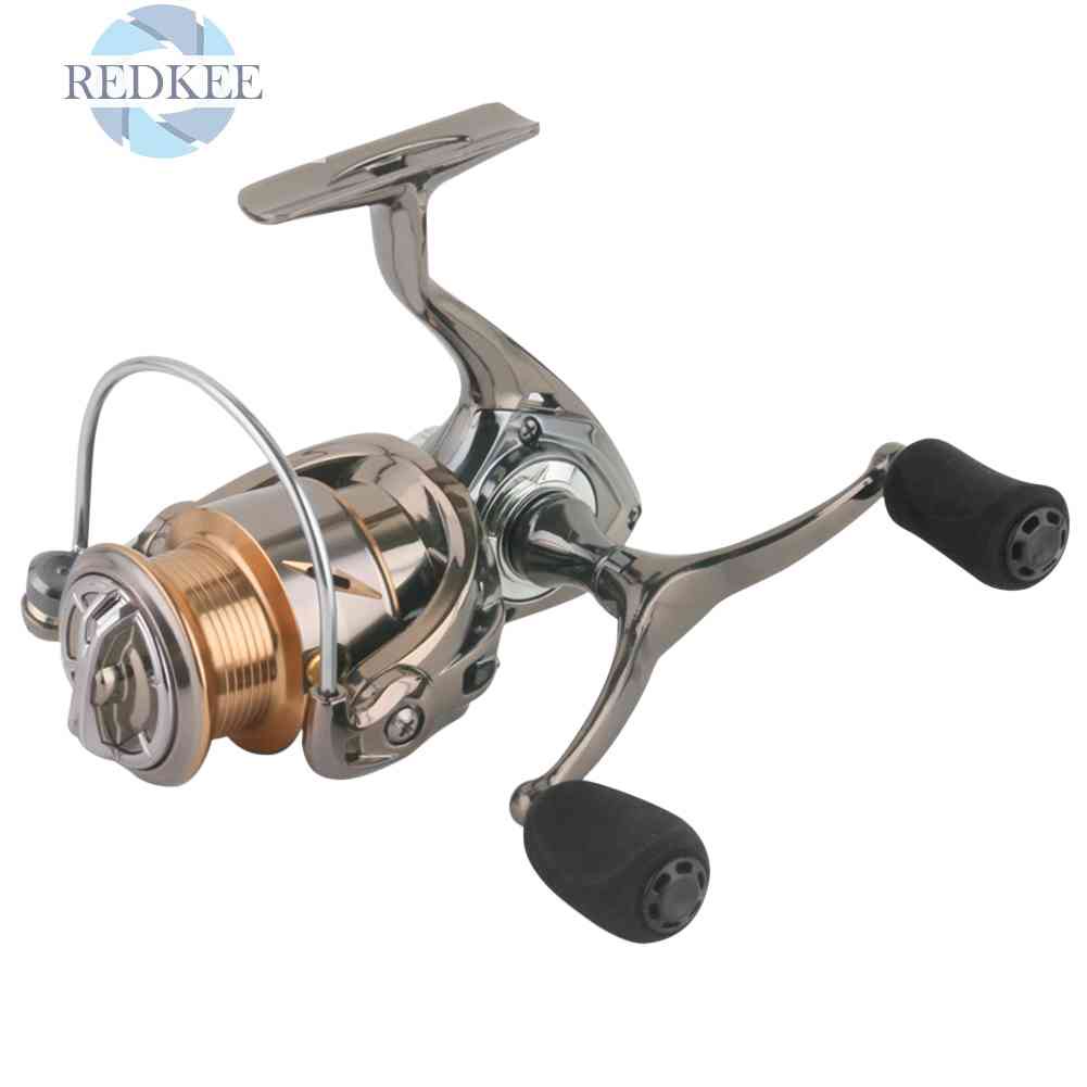 Máy Câu Cá 4 + 1 Bi Chuyên Nghiệp