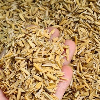  500g Trấu Khô Lót Chuồng Gà Rutin Vỏ Trấu Đệm Lót Ổ Gà Đẻ Trấu Khô Đệm Lót Chuồng Chuột Hamster Vỏ Trấu Làm Phân Bón 