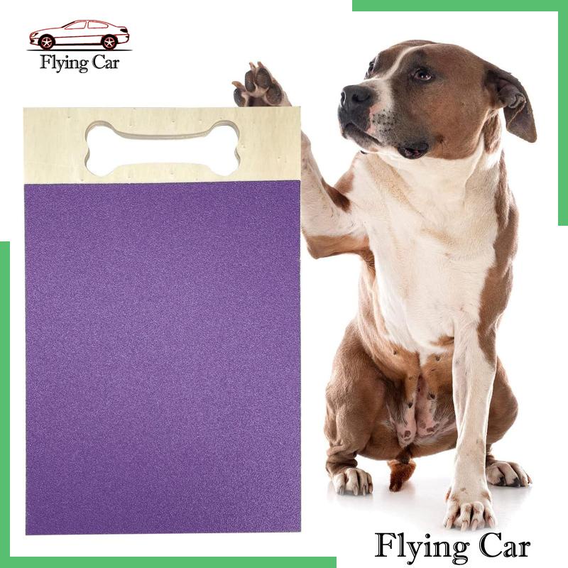 Set 2 Cuộn Giấy Nhám 13 * 9 Inches Thay Thế Tiện Dụng