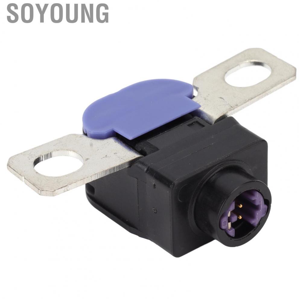 Soyoung Battery Disconnect Fuse Box Stable Current 4G0915519 Standard Size Overload Protector for Car Maintenance