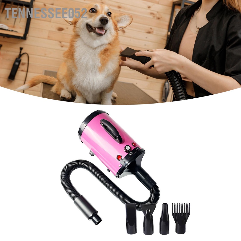 Tennessee052 Máy Sấy Cho Chó Tốc Độ Có Thể Điều Chỉnh Ồn Thấp Chịu Nhiệt Di Động Thổi Chải Lông Thú Cưng Mèo Phích Cắm Châu Âu