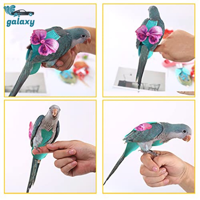 Galaxy Tã Lót Kèm Dây Dắt Cho Vẹt Cưng Cỡ Nhỏ / Vừa / Nhỏ Tiện Dụng
