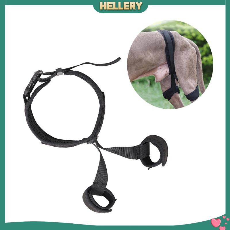 Đai Đeo Hông Hỗ Trợ Cho Thú Cưng Tiện Dụng