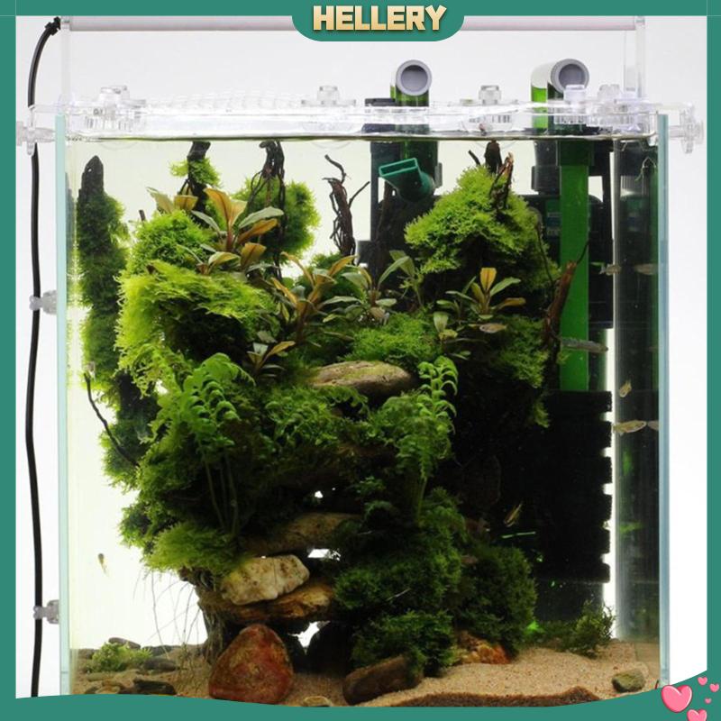 Bộ 2 Kẹp Che Phủ Bể Cá Trong Suốt Chống Thoát Hiểm Đa Năng