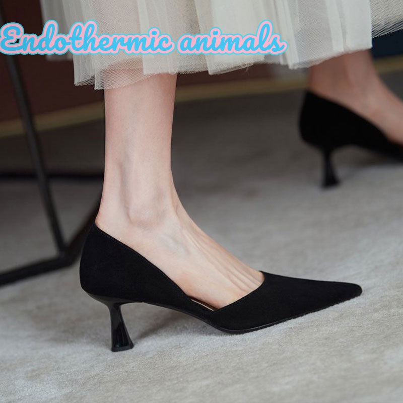 Giày Cao Gót Mũi Nhọn Thiết Kế Mới Thời Trang Theo Phong Cách Pháp Cho Nữ