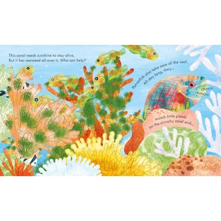 Peep Inside A Coral Reef
