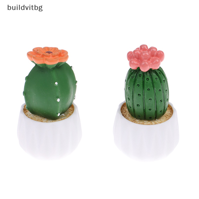 Chậu Cây Xương Rồng Nhỏ Dùng Trang Trí Xe Hơi Dễ Thương