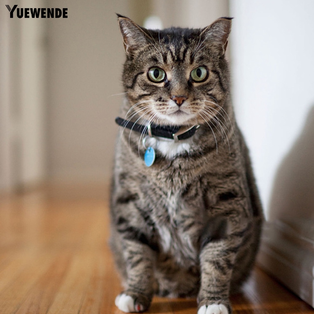 Vòng Cổ Giả Da Đính Đá Lấp Lánh Dành Cho Thú Cưng