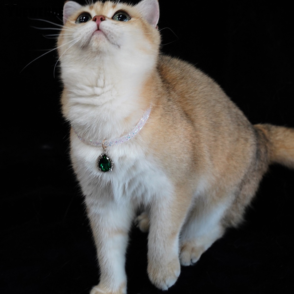 Yq.e Vòng Cổ Bắt Sáng Đính Đá Thanh Lịch Quyến Rũ Cho Thú Cưng