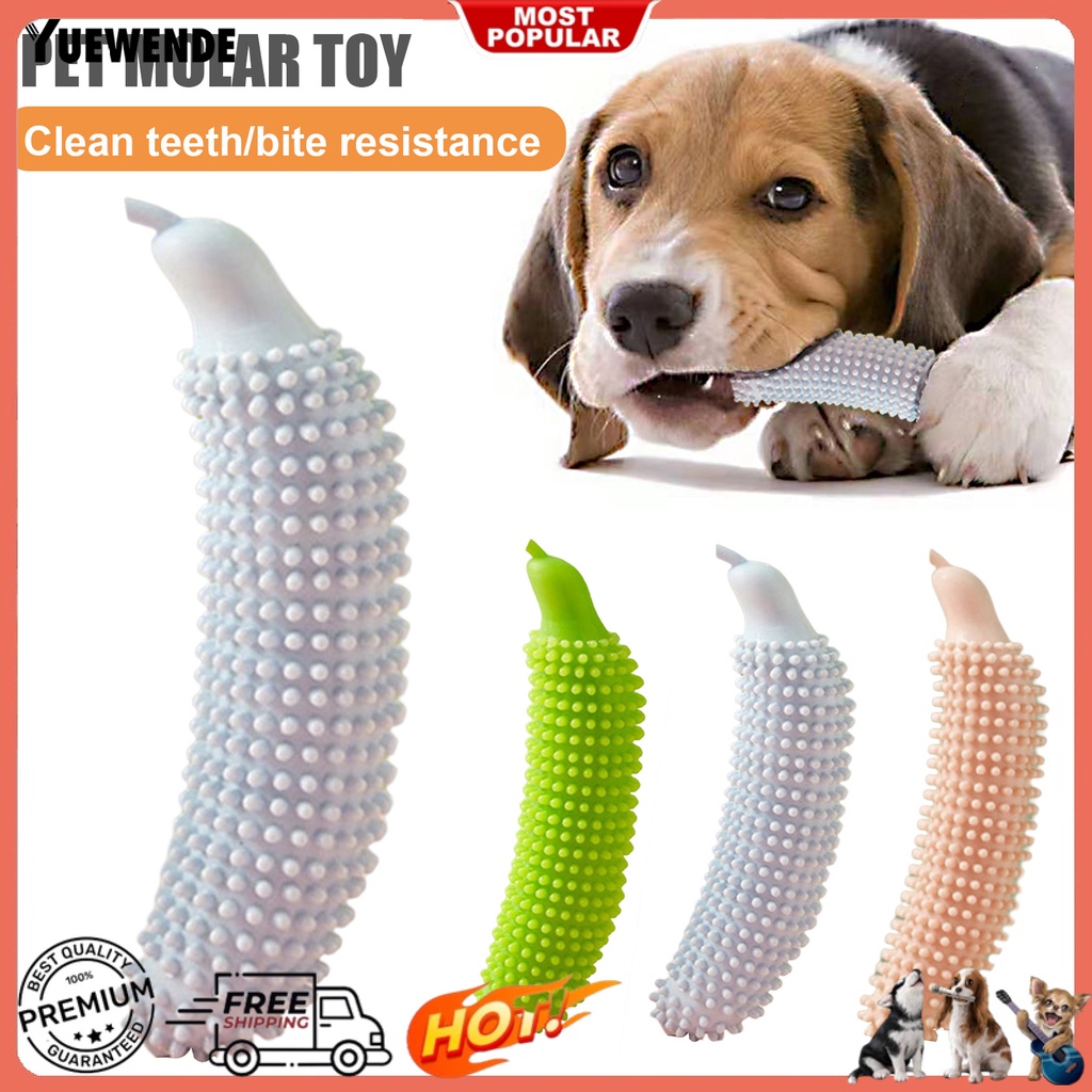 Yq.e Đồ Chơi Gặm Hình Dưa Leo Bằng TPE Chống Cắn Làm Sạch Răng Cho Thú Cưng