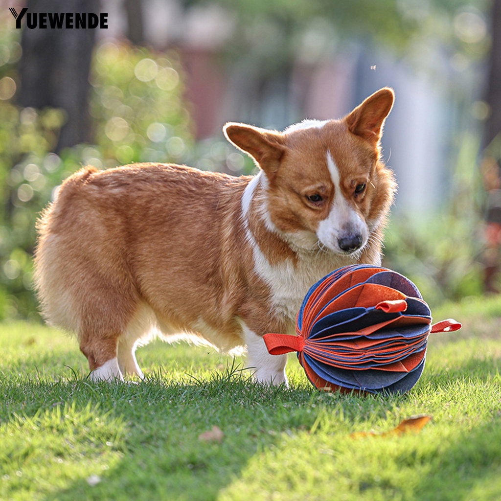 Bóng Đồ Chơi Chống Cắn Linh Hoạt Huấn Luyện Thú Cưng Trong Nhà