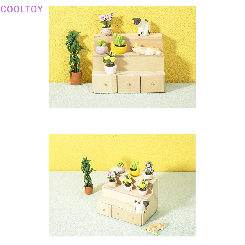 Mô Hình Hộp Kẹo / Giá Đỡ Trưng Bày 1: 12 Độc Đáo Trang Trí Nhà Búp Bê