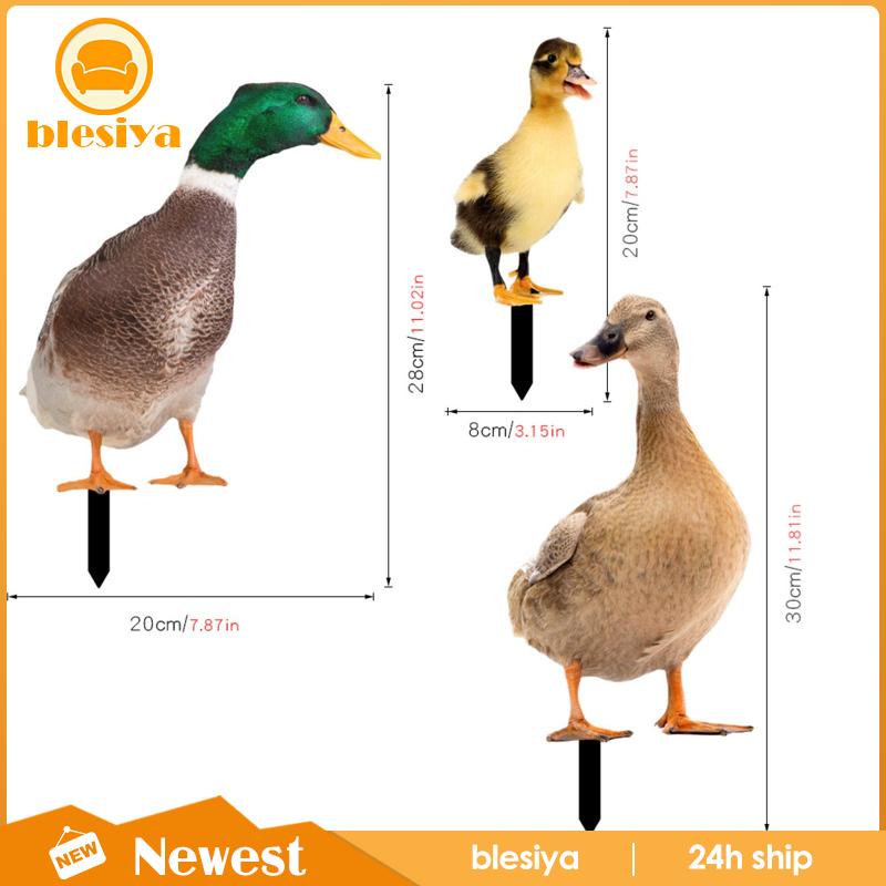 Set 3 Bức Tượng Vịt Trang Trí Sân Vườn