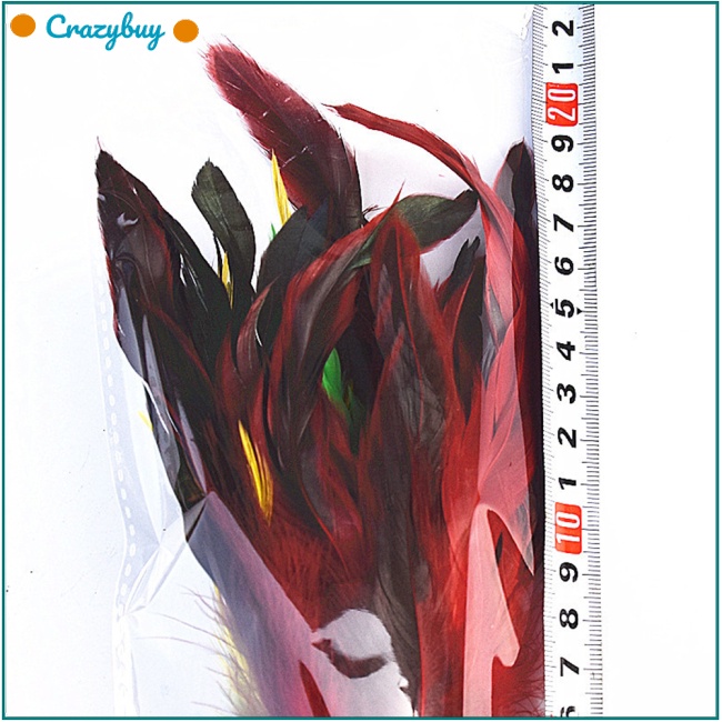 Cr Set 3 Lông Vũ Nhiều Màu 20cm Phong Cách Trung Hoa