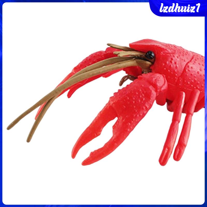 Đồ Chơi Tôm Hùm Biển Cho Bé