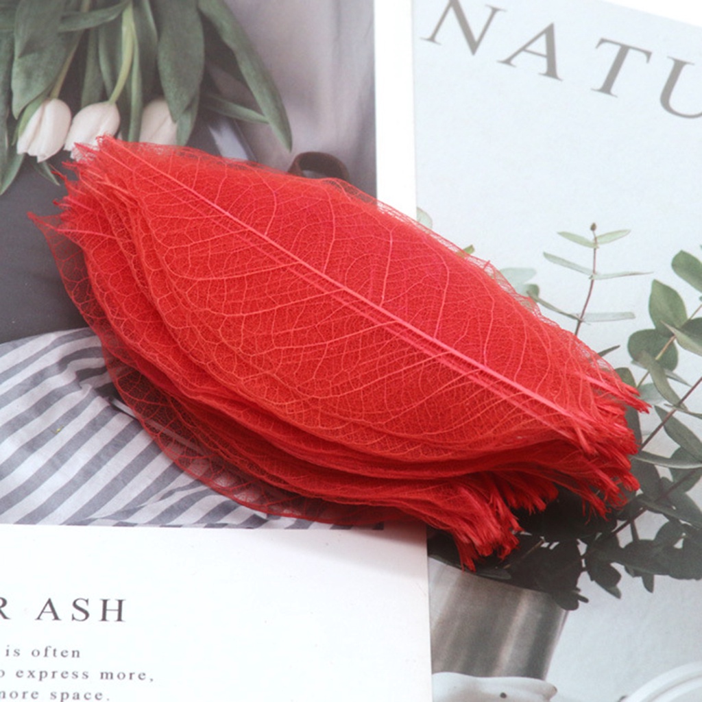 Bộ 100 Chiếc Lá Xương Tự Nhiên Nhiều Màu Sắc Dùng Đánh Dấu Trang Sách Kỉ Niệm