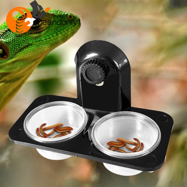 [COD] Chậu Rửa Thức Ăn Đa Năng Tiết Kiệm Nước Cho Bọ Rùa Nhện Xanh Lá Iguanas