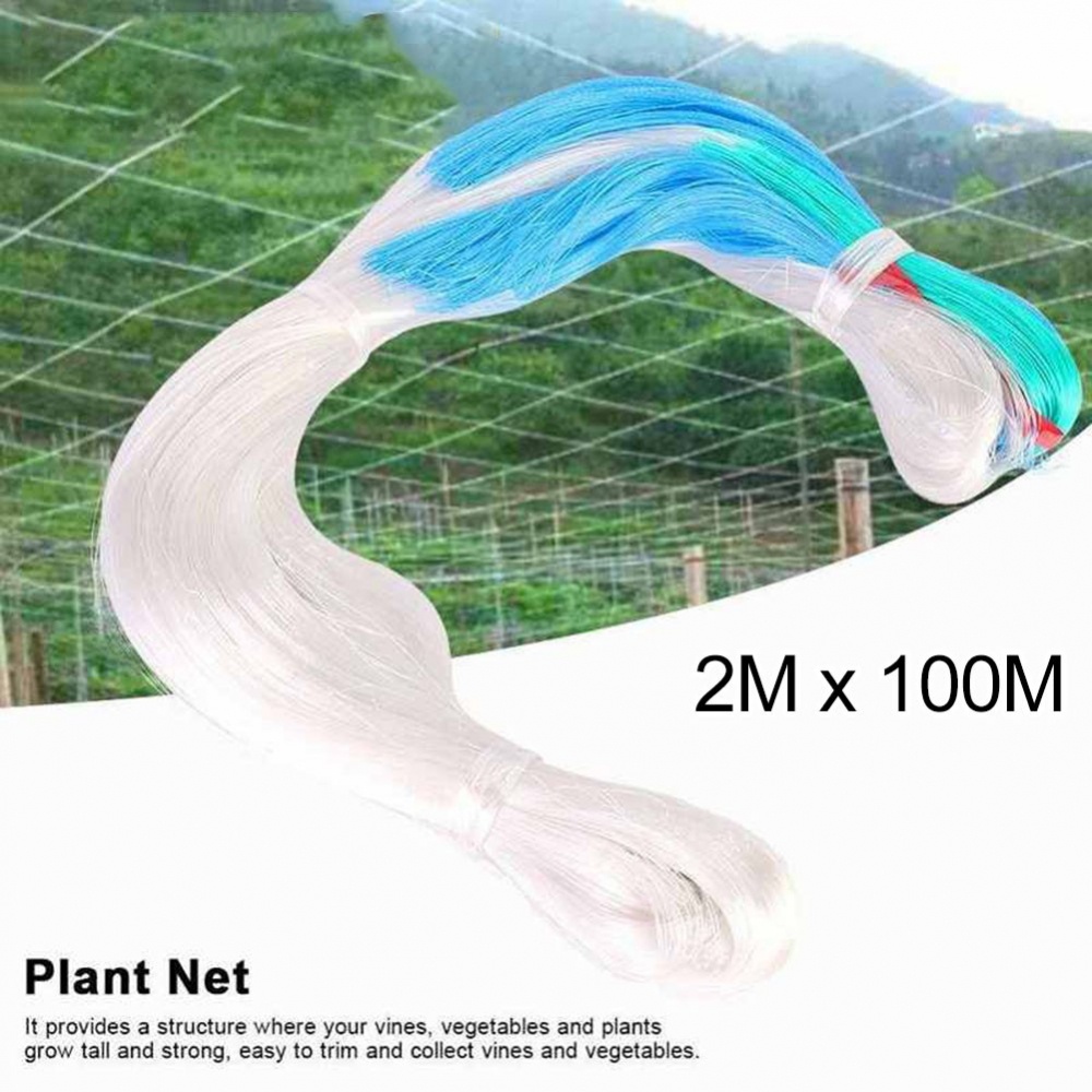 Lưới Hỗ Trợ Trồng Cây Dưa Leo Chất Lượng Cao 2MX100M