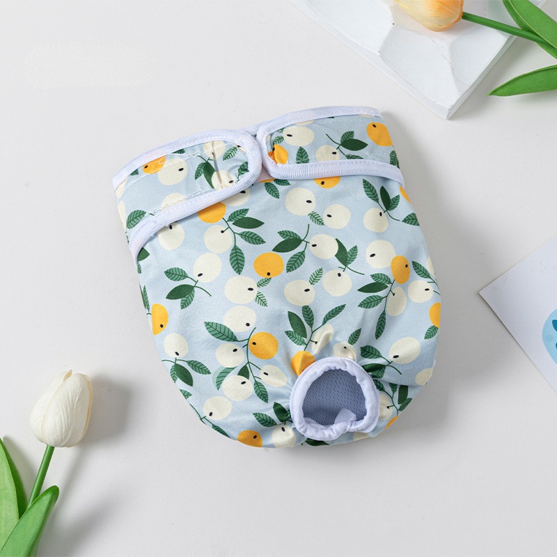 Quần sinh lý cho chó in dễ thương cho nữ quần đùi cho chó con đồ lót cho chó có thể giặt được tã lót cho thú cưng