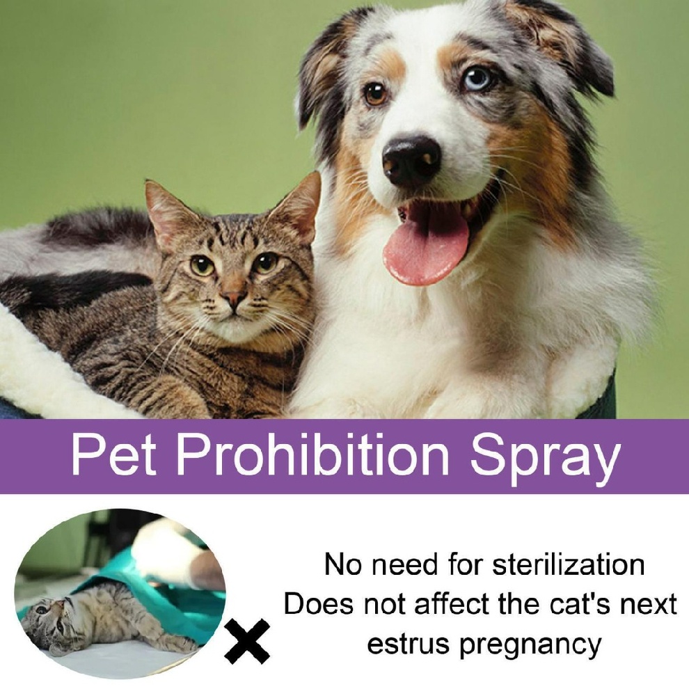Calming Spray For Cats Reduce Your Pet's Anxiety Relief Aggression Pheromone