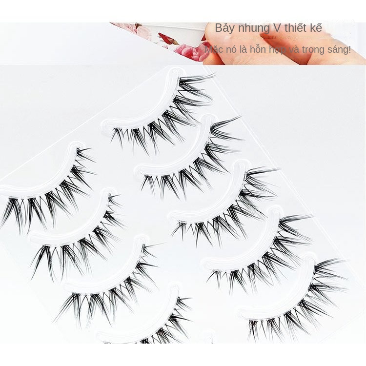Set 6 Cặp Lông Mi Giả Đuôi Cá Mềm Trong Suốt Tự Nhiên DFY-6 Cặp