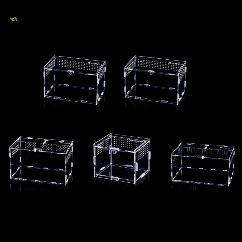 Hộp Đựng Thức Ăn Bằng Acrylic Trong Suốt Cho Bò Sát / Côn Trùng