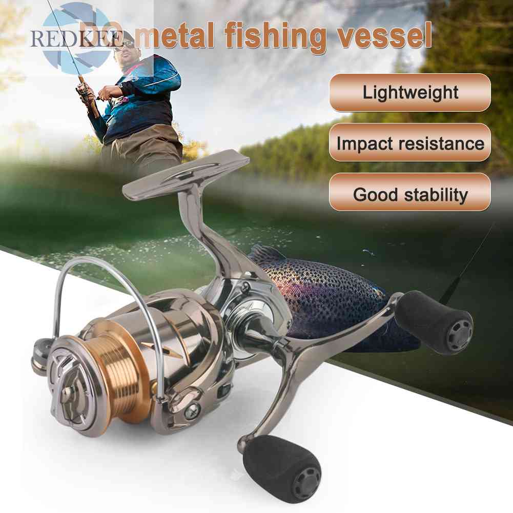 Máy Câu Cá 4 + 1 Bi Chuyên Nghiệp