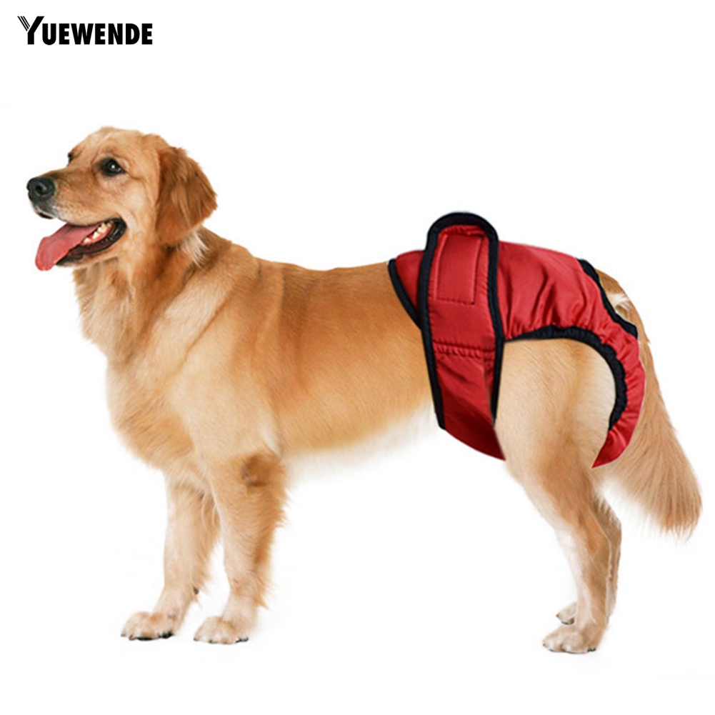 Tã Quần Sinh Lý In Họa Tiết Hoạt Hình Dễ Thương Giặt Được Tiện Dụng Cho Nữ