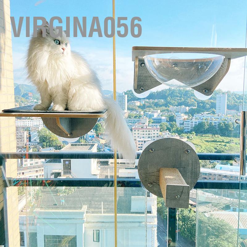 Virgina056 Tường Kính Mèo Leo Kệ Chịu Lực Lớn Chống Trơn Trượt Không Mùi Hút Cửa Sổ Cào Cho Gia Đình