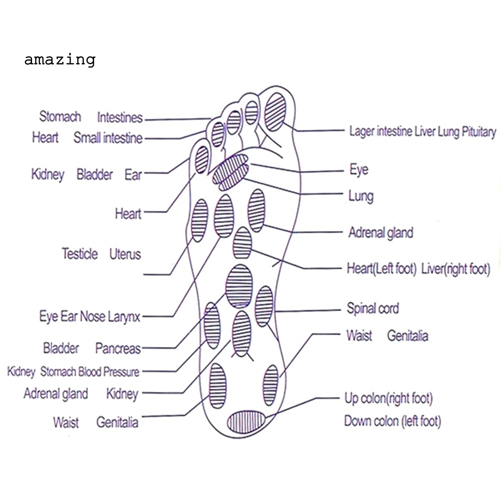 Đĩa Xoay Eo Tập Aerobic Hít Nam Châm
