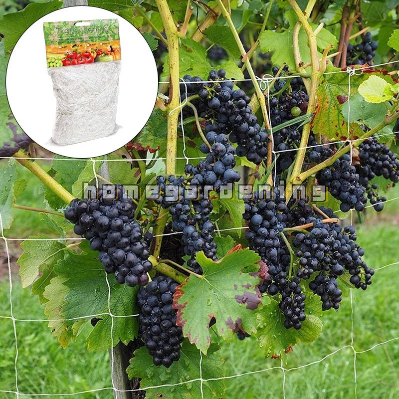 Lưới Polyester 5x15 / 5x30FT Hỗ Trợ Trồng Cây Dây Leo