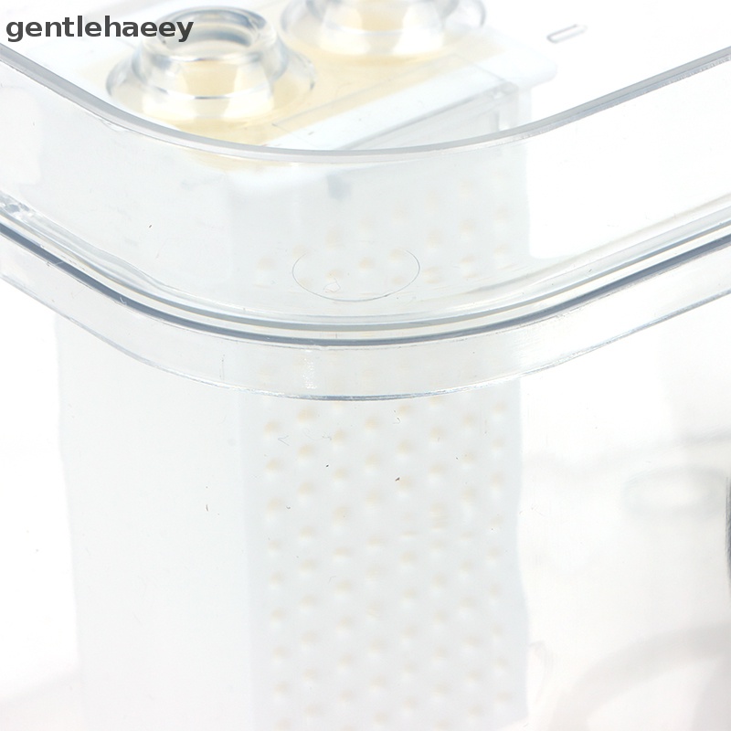 Máy Uống Nước Tự Động Không Gây Tiếng Ồn Cho Thú Cưng