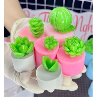 Combo 6 khuôn silicon sen đá 2.5 - 4.5cm làm bánh rau câu 4d