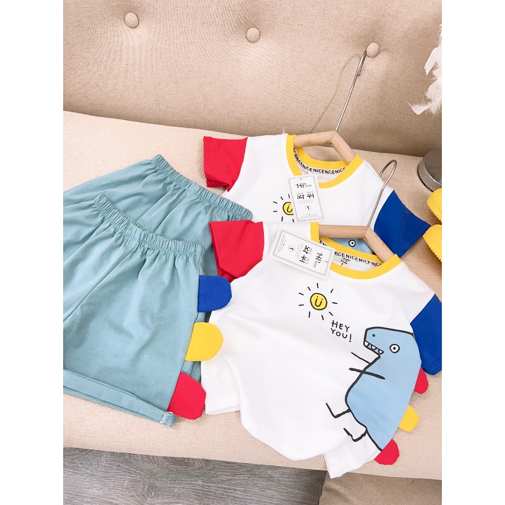 SALE BỘ COTTON KHỦNG LONG BÉ TRAI