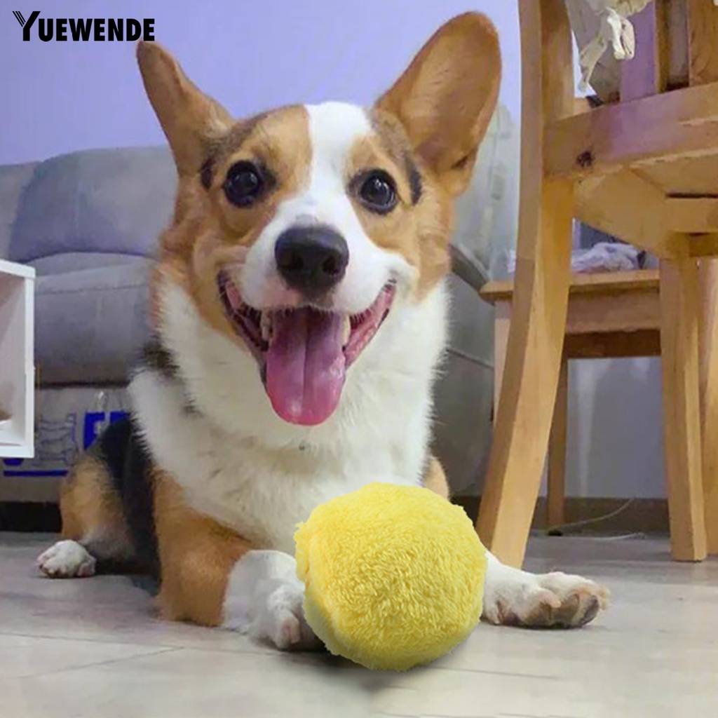 1 Bộ Bóng Lông Mềm YQ.E Chống Cắn Có Thể Sạc Lại Và Âm Thanh Dành Cho Thú Cưng