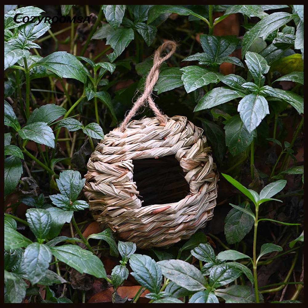 Tổ Chim Bằng Cỏ Tự Nhiên Dùng Trang Trí