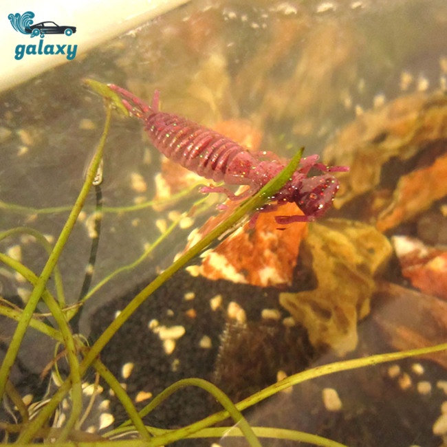 Galaxy Set 10 Mồi Giả Nhử Cá 5.5cm / 7.5cm / 10cm Bằng Nhựa Mềm