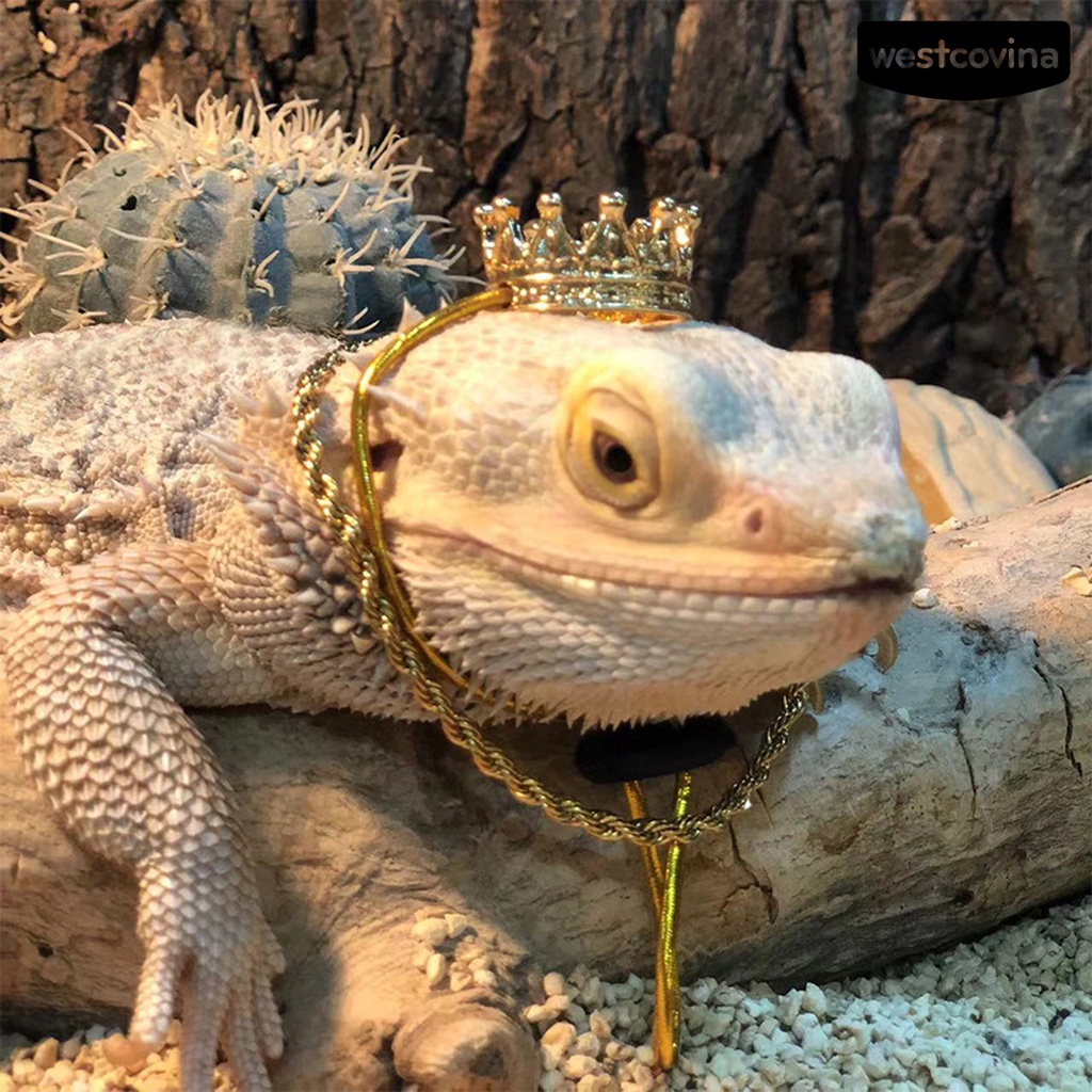 [COD]♞1 Set Tượng Thằn Lằn Mini Bằng Hợp Kim Dễ Thương Thoải Mái Có Khóa Điều Chỉnh Được