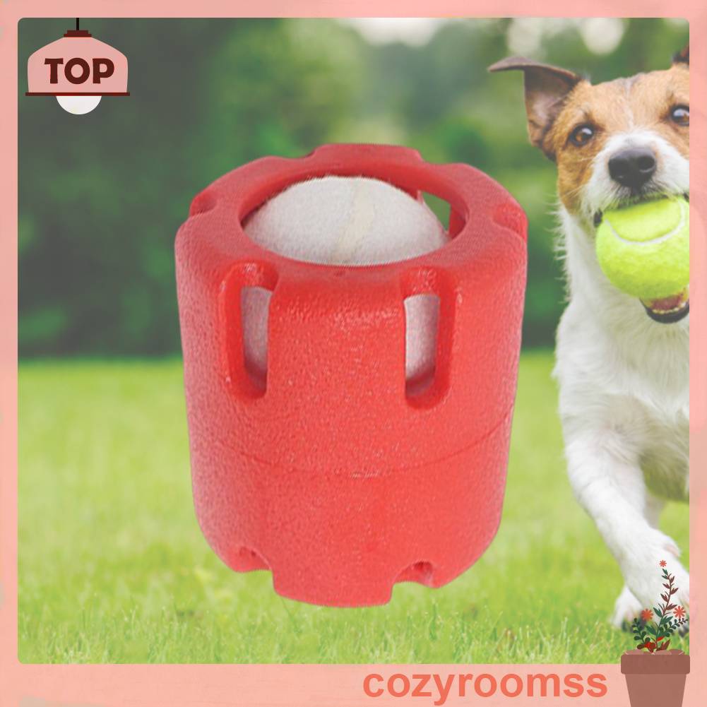 Đồ Chơi Tennis Cho Cún Cưng