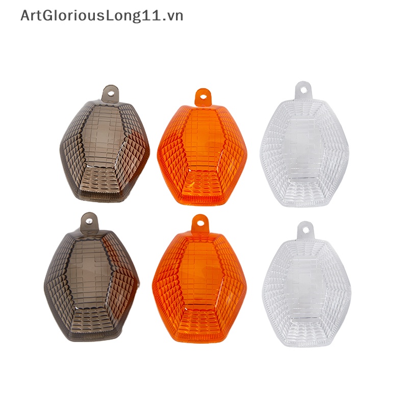 1 Cặp Ốp Đèn Tín Hiệu Rẽ Trong Suốt Dễ Lắp Đặt Cho DL650 V Strom