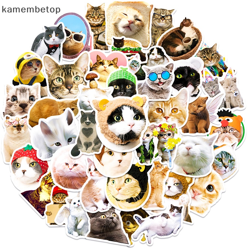 Bộ 50 Sticker Dán Trang Trí Hình Mèo Phong Cách Vintage
