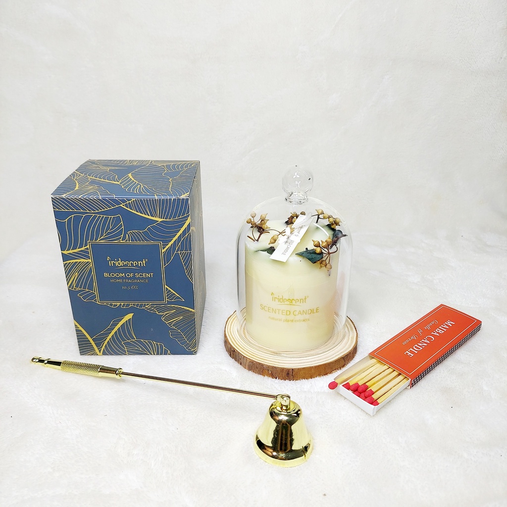 Nến thơm không khói thư giản trang trí hoa khô làm quà tặng phong cách hiện đại kèm chụp thủy tinh và đế gỗ