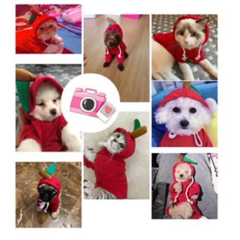 Hoodie cho chó / mèo / mèo con / quần áo mùa đông / quần áo cho chó