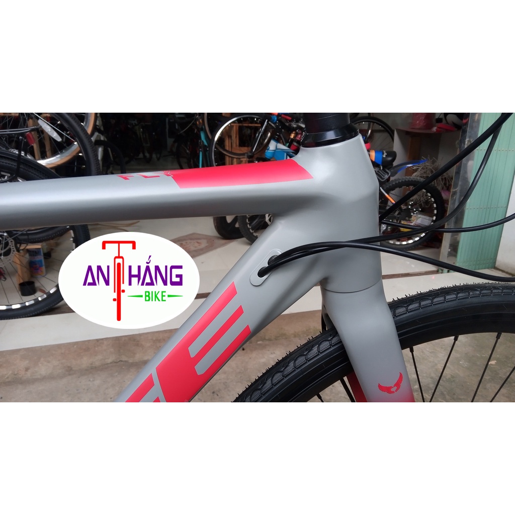 Xe đạp thể thao Life Fly cao cấp